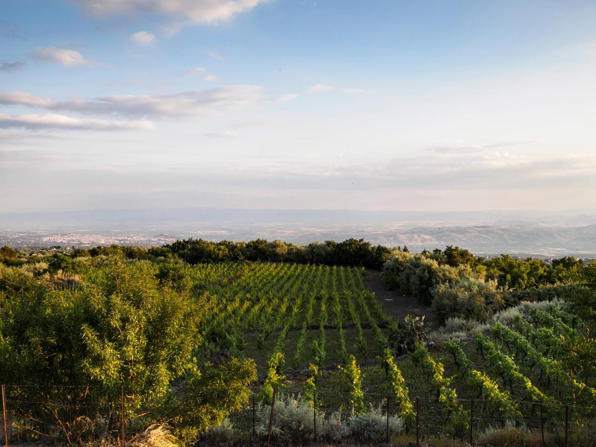 Podere Dell'Etna Segreta - Essential Nature Hotel & Glamping Biancavilla Exterior photo